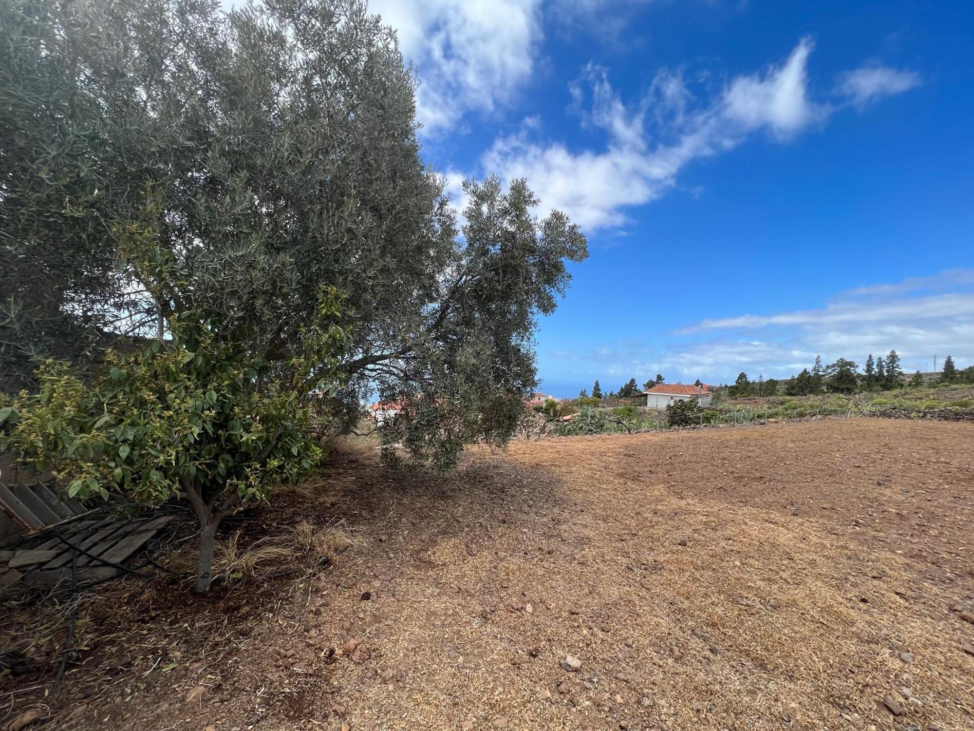 Casa Victoria Βίλα Costa Adeje  Εξωτερικό φωτογραφία