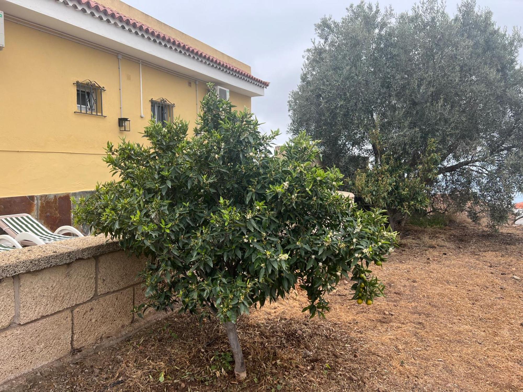 Casa Victoria Βίλα Costa Adeje  Εξωτερικό φωτογραφία